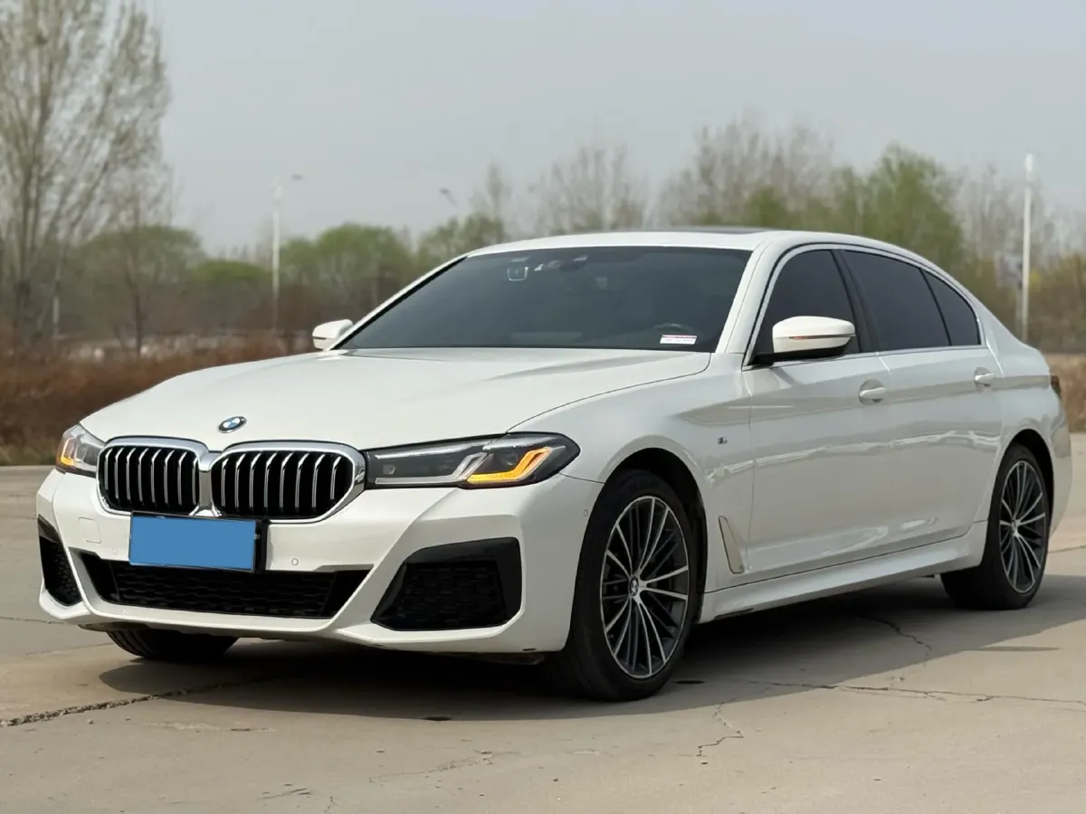 2021 BMW 5 Series 2.0T 252HP L4 8AT,autocango,china used car exporter,china ev exporter,chinese used car exporter,chinese used ev exporter