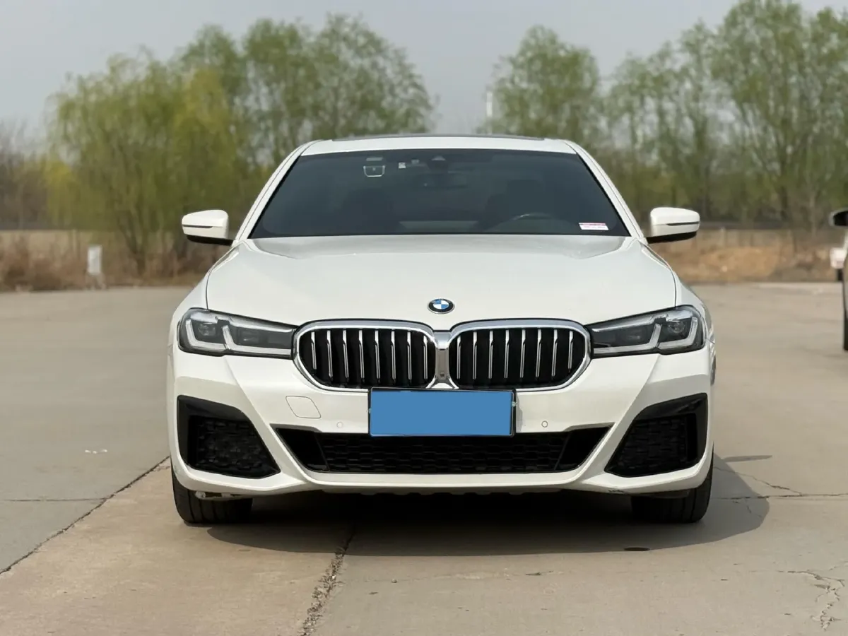 2021 BMW 5 Series 2.0T 252HP L4 8AT,autocango,china used car exporter,china ev exporter,chinese used car exporter,chinese used ev exporter
