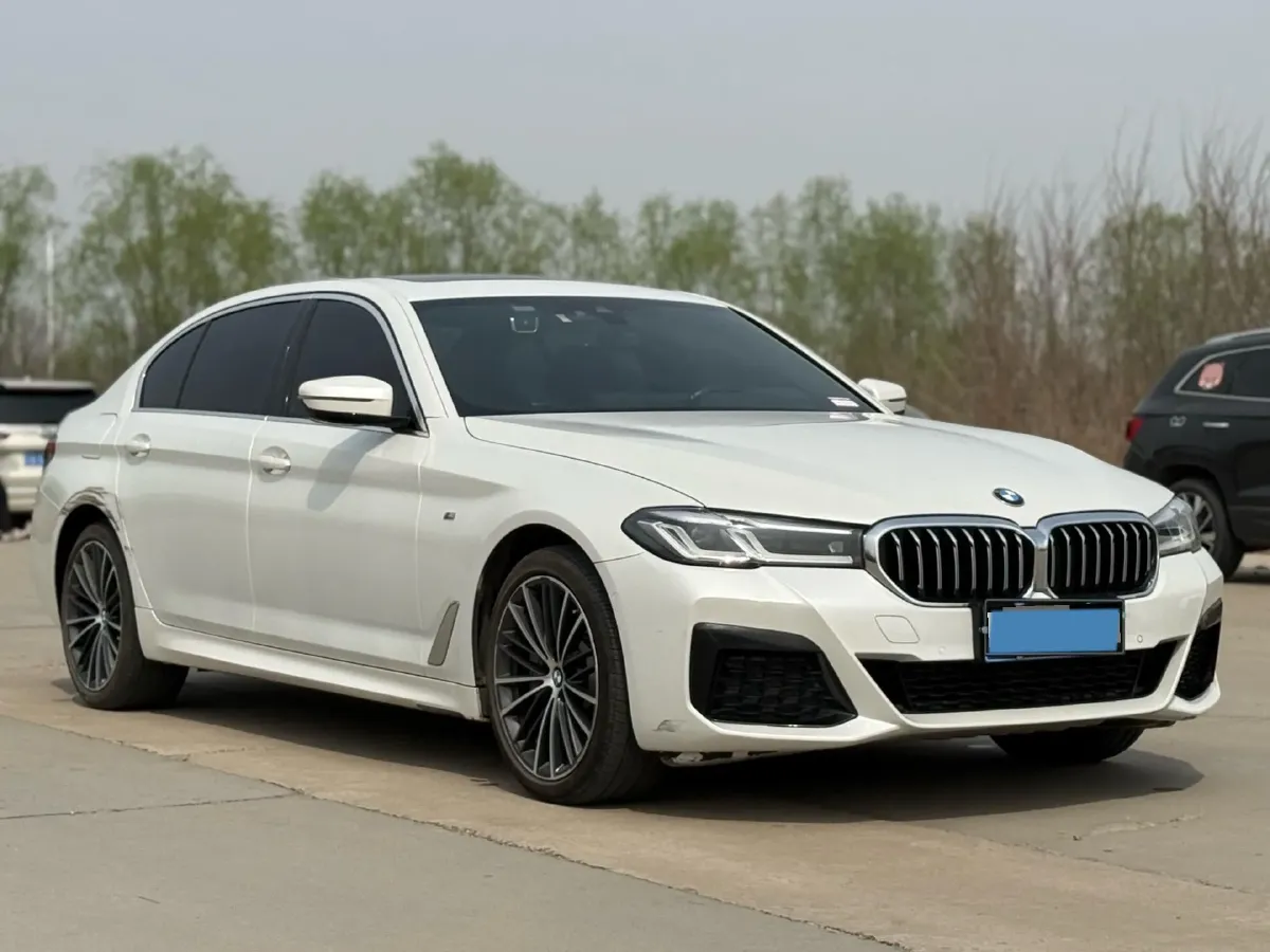 2021 BMW 5 Series 2.0T 252HP L4 8AT,autocango,china used car exporter,china ev exporter,chinese used car exporter,chinese used ev exporter