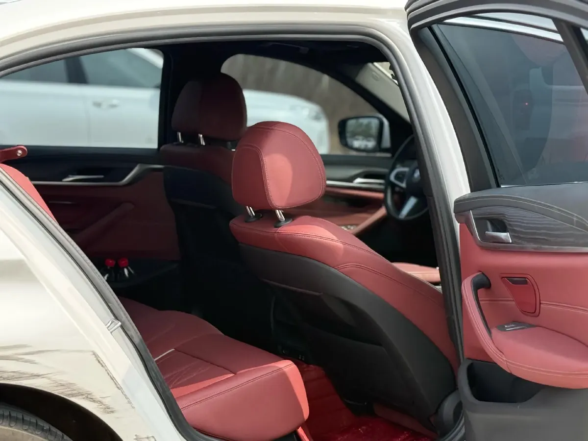 2021 BMW 5 Series 2.0T 252HP L4 8AT,autocango,china used car exporter,china ev exporter,chinese used car exporter,chinese used ev exporter