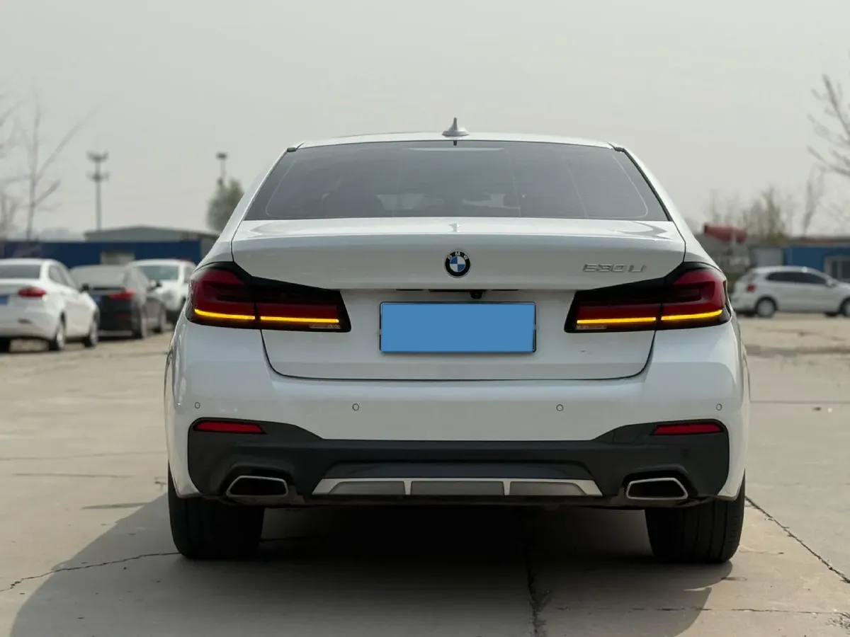 2021 BMW 5 Series 2.0T 252HP L4 8AT,autocango,china used car exporter,china ev exporter,chinese used car exporter,chinese used ev exporter