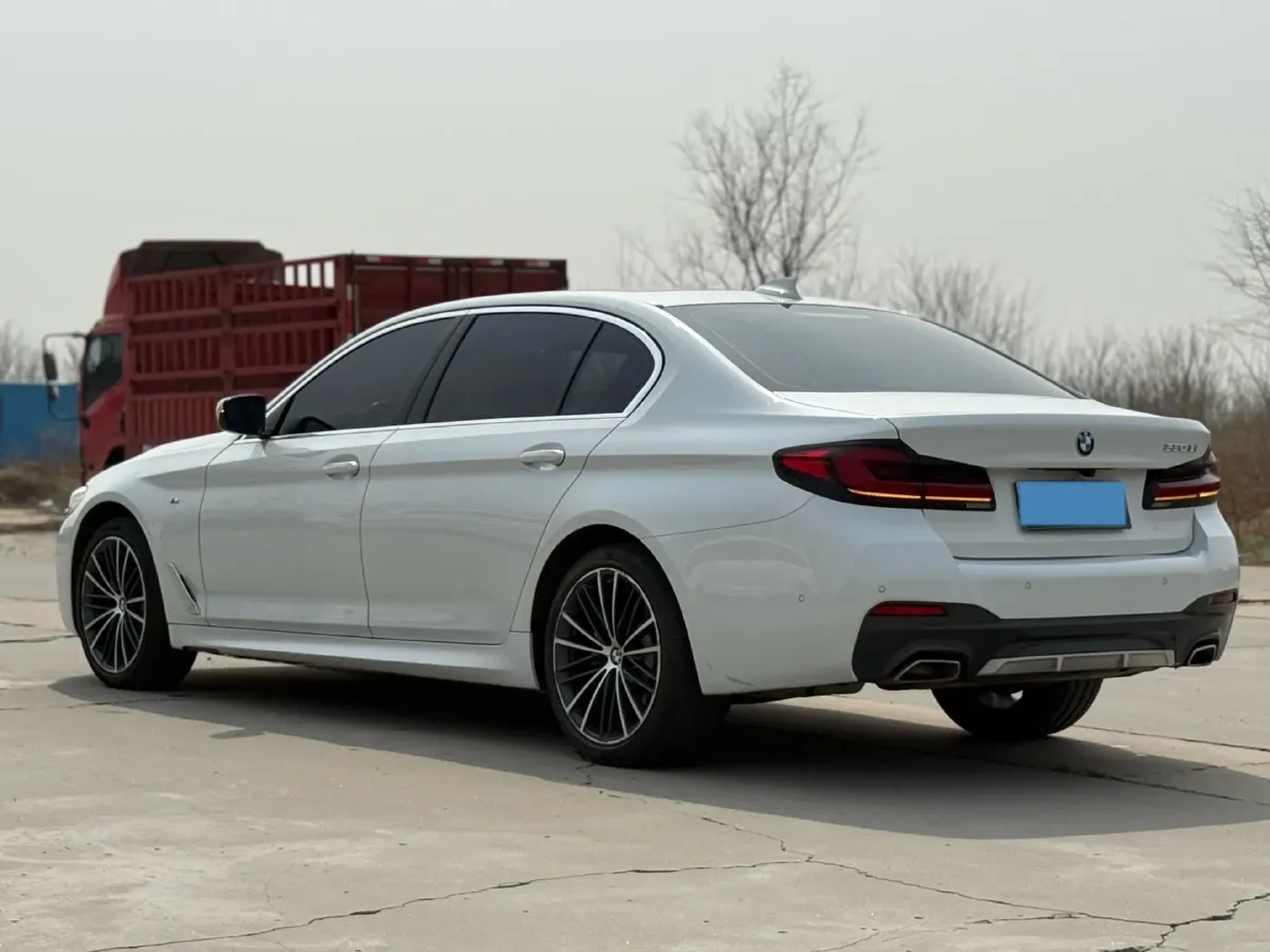2021 BMW 5 Series 2.0T 252HP L4 8AT,autocango,china used car exporter,china ev exporter,chinese used car exporter,chinese used ev exporter