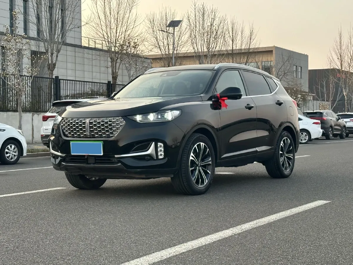 2021 WEY VV6 2.0T 227HP L4 7DCT,autocango,china used car exporter,china ev exporter,chinese used car exporter,chinese used ev exporter