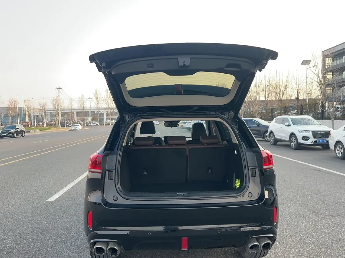 2021 WEY VV6 2.0T 227HP L4 7DCT,autocango,china used car exporter,china ev exporter,chinese used car exporter,chinese used ev exporter