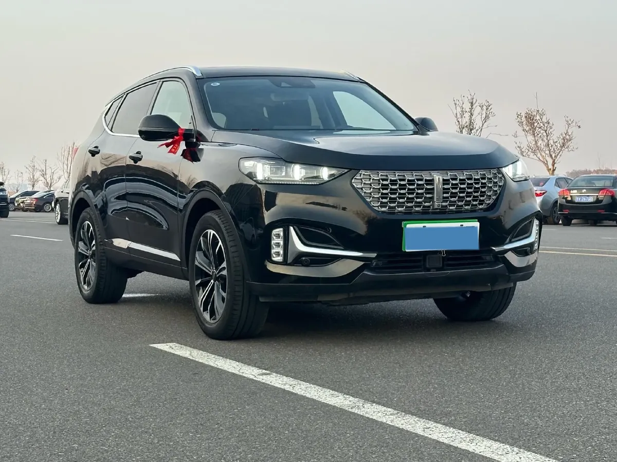 2021 WEY VV6 2.0T 227HP L4 7DCT,autocango,china used car exporter,china ev exporter,chinese used car exporter,chinese used ev exporter