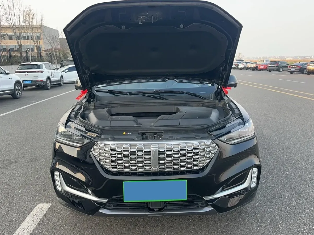 2021 WEY VV6 2.0T 227HP L4 7DCT,autocango,china used car exporter,china ev exporter,chinese used car exporter,chinese used ev exporter