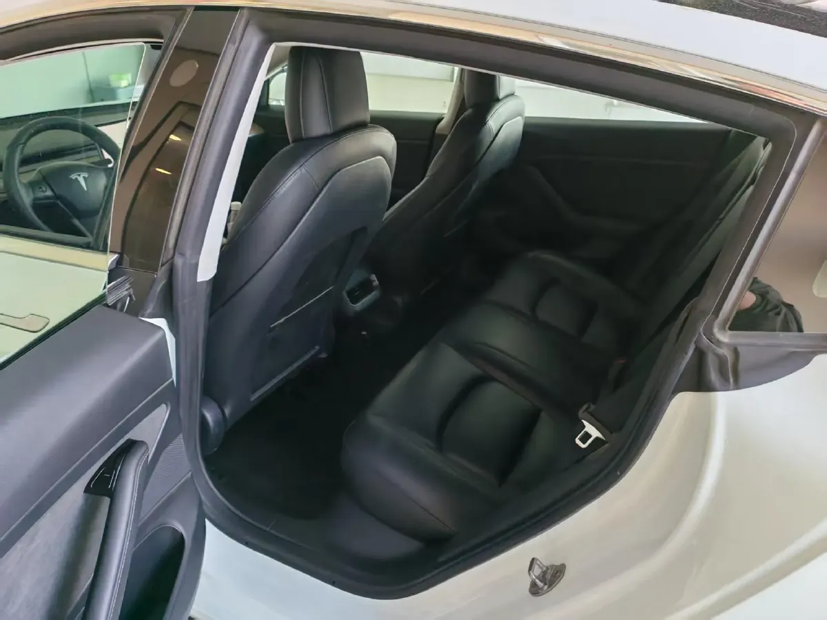 2020 Tesla Model 3 BEV 52KWH,autocango,china used car exporter,china ev exporter,chinese used car exporter,chinese used ev exporter