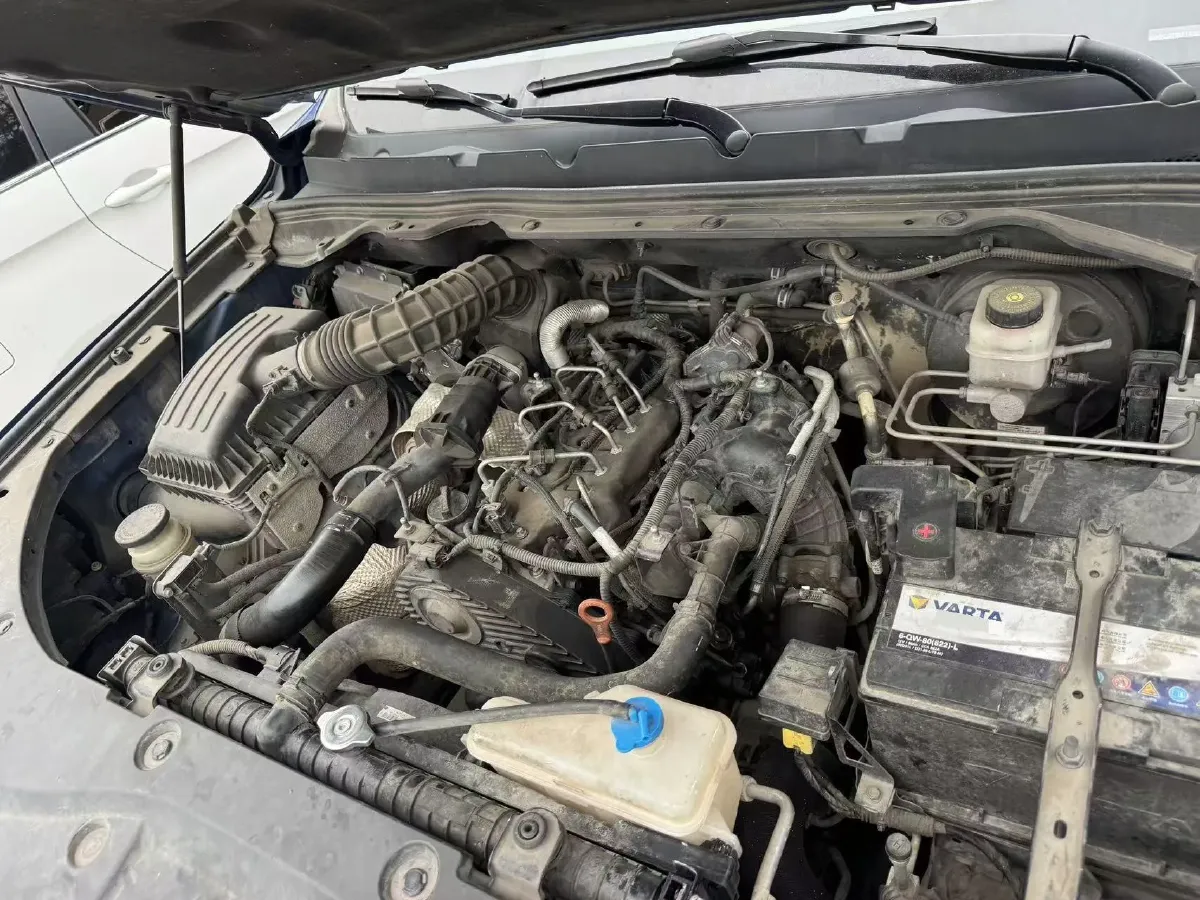 2021 Great Wall Poer 2.0T 163HP L4 8AT,autocango,china used car exporter,china ev exporter,chinese used car exporter,chinese used ev exporter