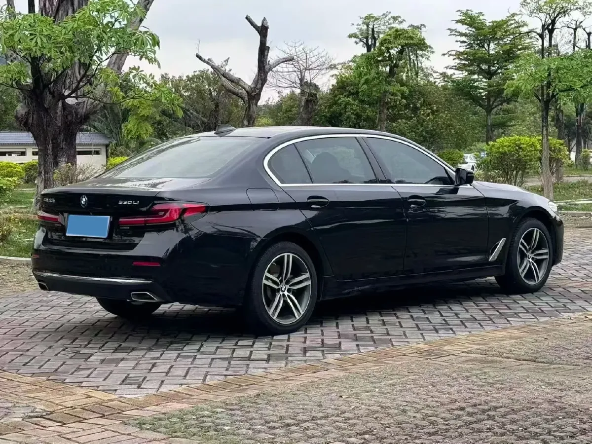 2021 BMW 5 Series 2.0T 252HP L4 8AT,autocango,china used car exporter,china ev exporter,chinese used car exporter,chinese used ev exporter