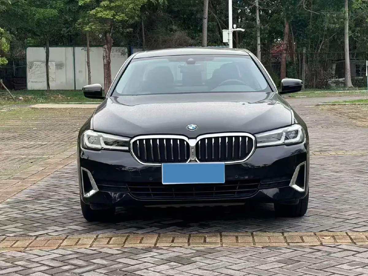 2021 BMW 5 Series 2.0T 252HP L4 8AT,autocango,china used car exporter,china ev exporter,chinese used car exporter,chinese used ev exporter