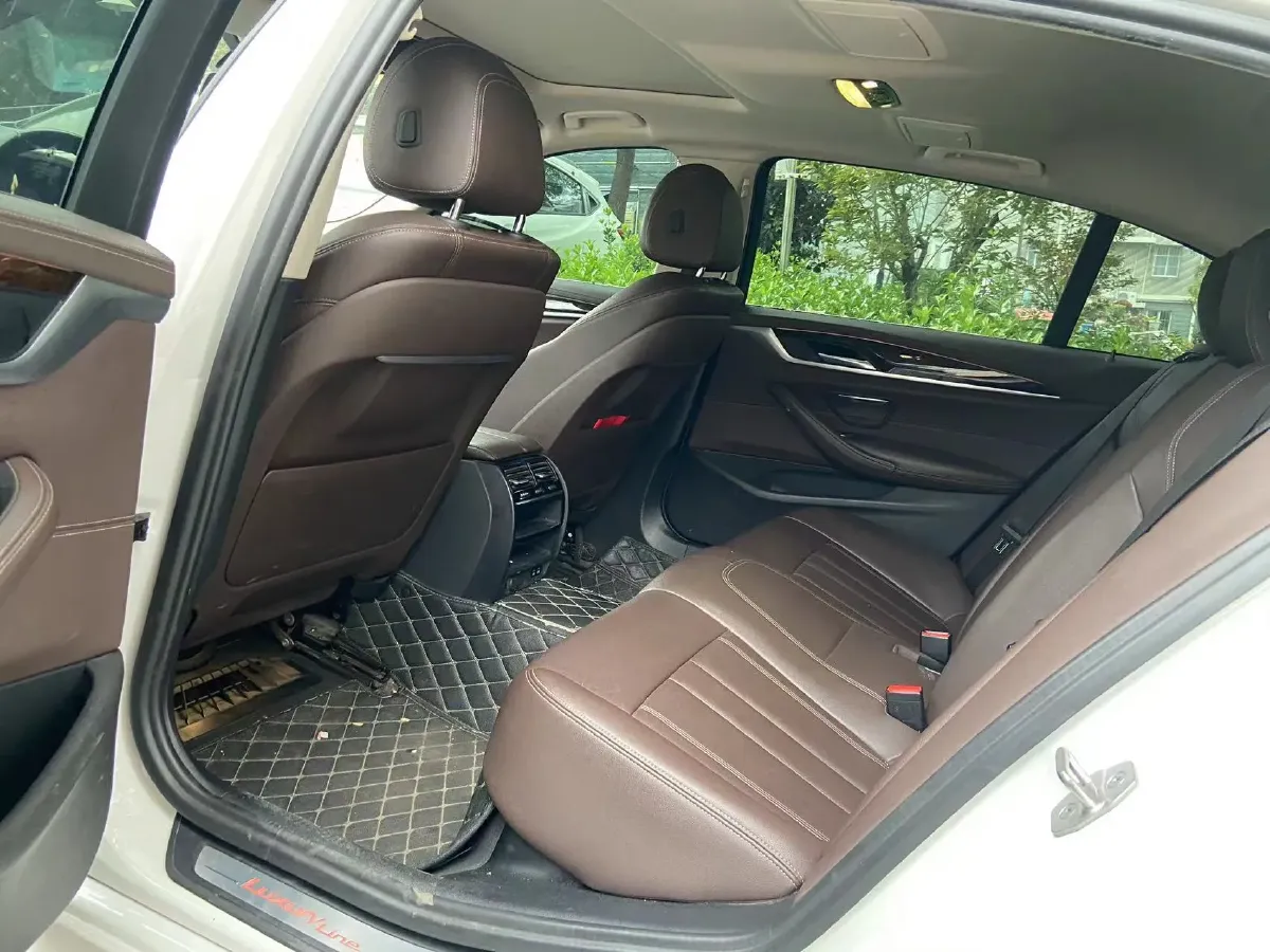 2020 BMW 5 Series 2.0T 184HP L4 8AT,autocango,china used car exporter,china ev exporter,chinese used car exporter,chinese used ev exporter