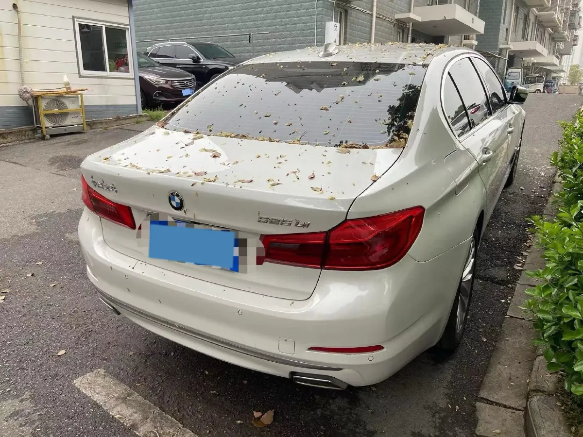 2020 BMW 5 Series 2.0T 184HP L4 8AT,autocango,china used car exporter,china ev exporter,chinese used car exporter,chinese used ev exporter