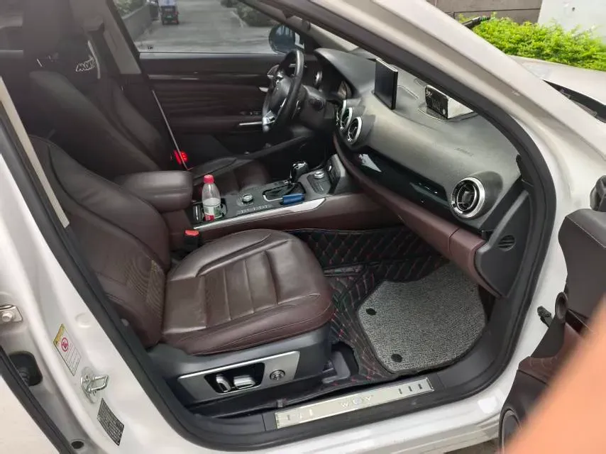 2018 WEY P8 2.0T 234HP L4 6DCT PHEV 12.96KWH,autocango,china used car exporter,china ev exporter,chinese used car exporter,chinese used ev exporter