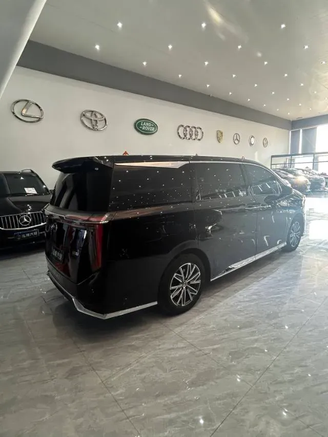 2024 GAC Trumpchi M8 2.0T 252HP L4 8AT,autocango,china used car exporter,china ev exporter,chinese used car exporter,chinese used ev exporter