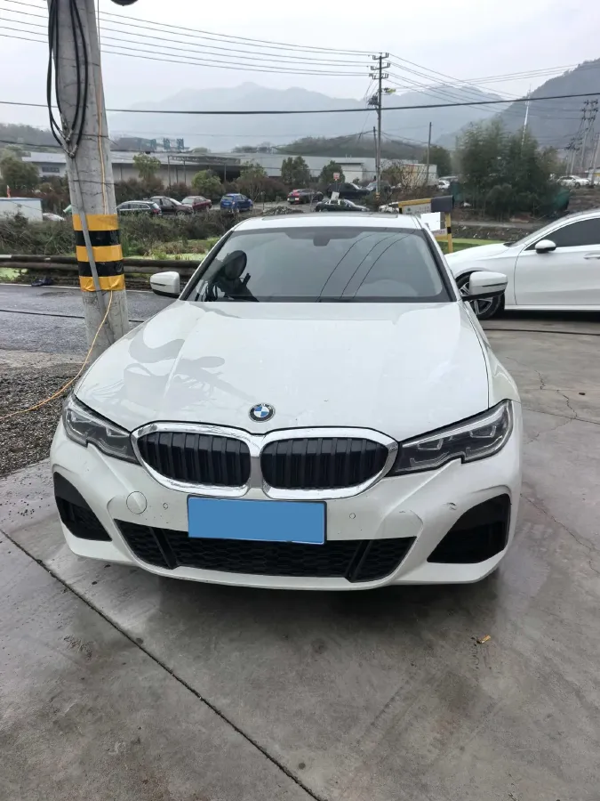 2021 BMW 3 Series 2.0T 156HP L4 8AT,autocango,china used car exporter,china ev exporter,chinese used car exporter,chinese used ev exporter