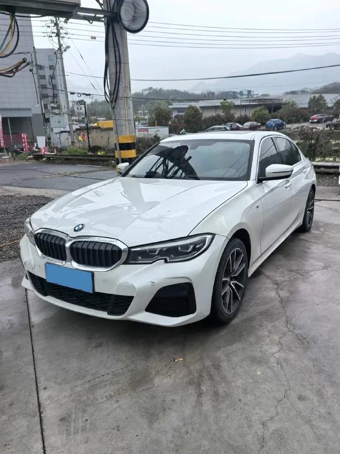 2021 BMW 3 Series 2.0T 156HP L4 8AT,autocango,china used car exporter,china ev exporter,chinese used car exporter,chinese used ev exporter