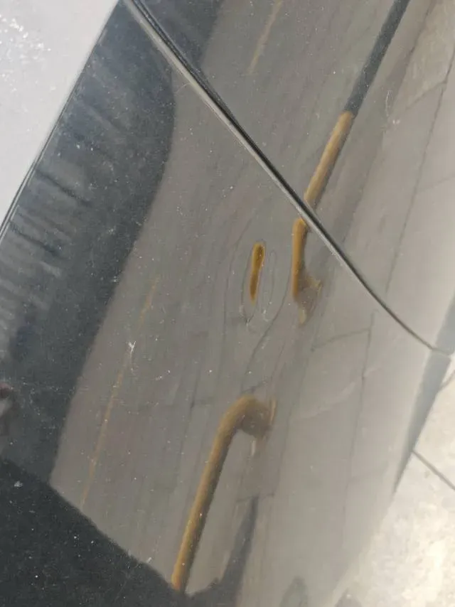 2022 Cadillac CT5 2.0T 237HP L4 10AT,autocango,china used car exporter,china ev exporter,chinese used car exporter,chinese used ev exporter