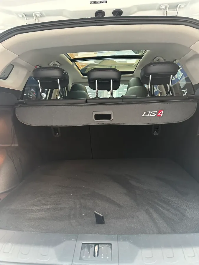 2021 GAC Trumpchi GS4 1.5T 169HP L4 6AT,autocango,china used car exporter,china ev exporter,chinese used car exporter,chinese used ev exporter