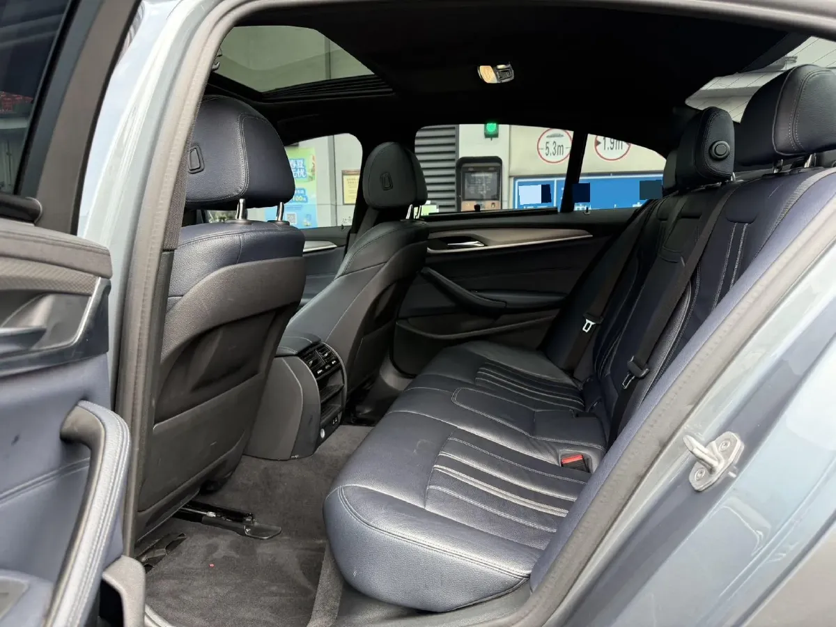 2020 BMW 5 Series 2.0T 184HP L4 8AT,autocango,china used car exporter,china ev exporter,chinese used car exporter,chinese used ev exporter