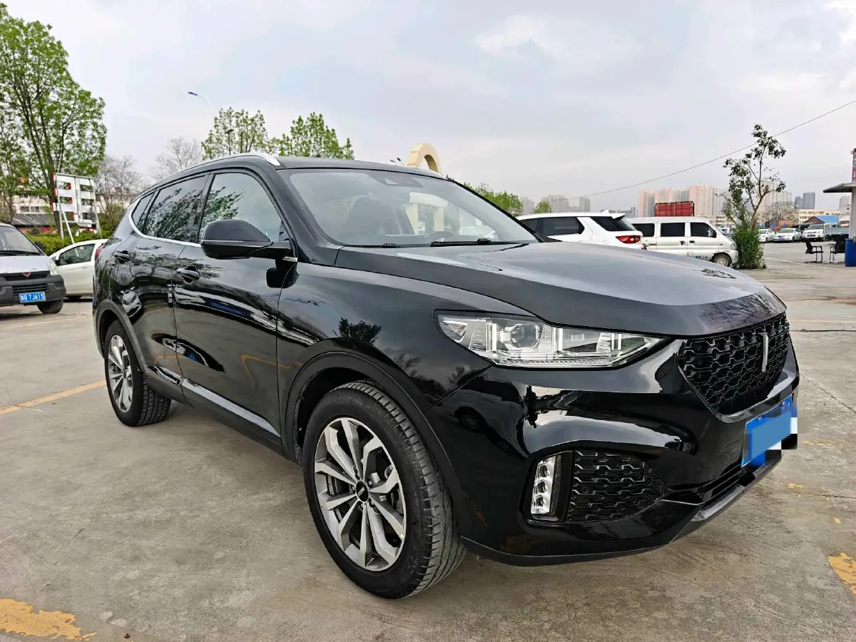 2018 WEY VV6 2.0T 197HP L4 7DCT,autocango,china used car exporter,china ev exporter,chinese used car exporter,chinese used ev exporter
