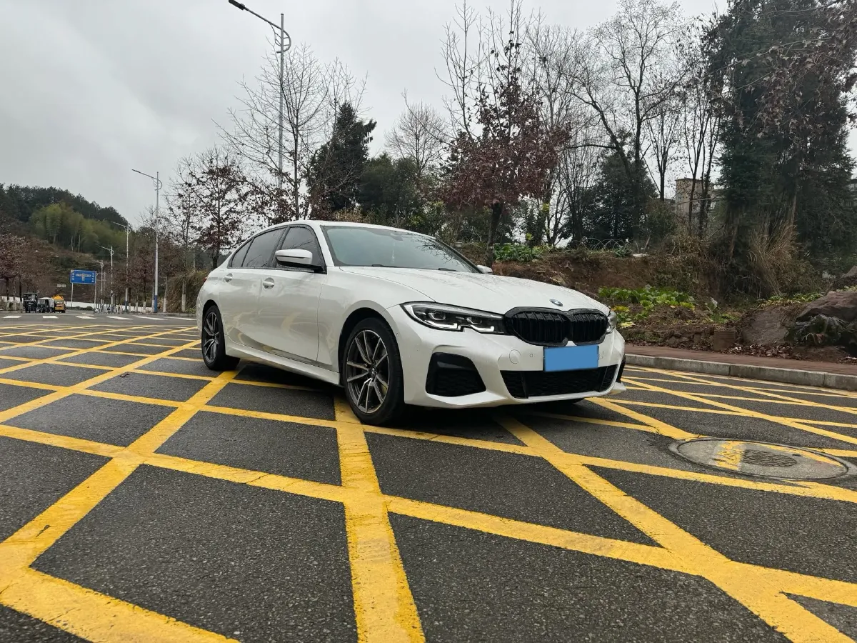 2021 BMW 3 Series 2.0T 184HP L4 8AT,autocango,china used car exporter,china ev exporter,chinese used car exporter,chinese used ev exporter