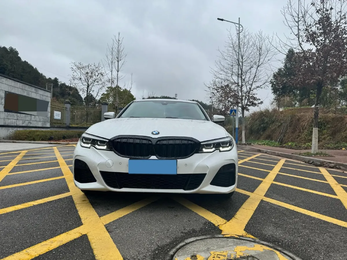 2021 BMW 3 Series 2.0T 184HP L4 8AT,autocango,china used car exporter,china ev exporter,chinese used car exporter,chinese used ev exporter