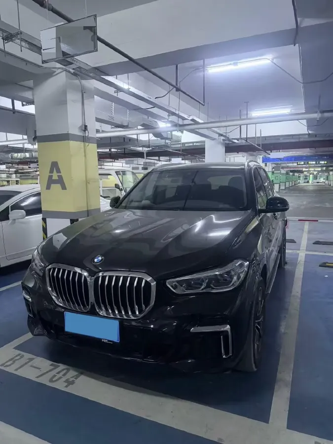 2022 BMW X5 2.0T 245HP L4 8AT,autocango,china used car exporter,china ev exporter,chinese used car exporter,chinese used ev exporter