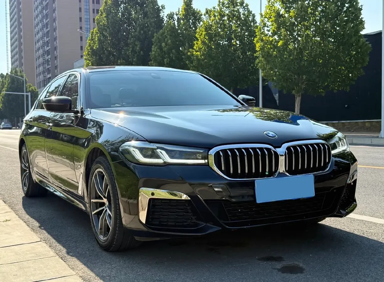 2021 BMW 5 Series 2.0T 184HP L4 8AT,autocango,china used car exporter,china ev exporter,chinese used car exporter,chinese used ev exporter