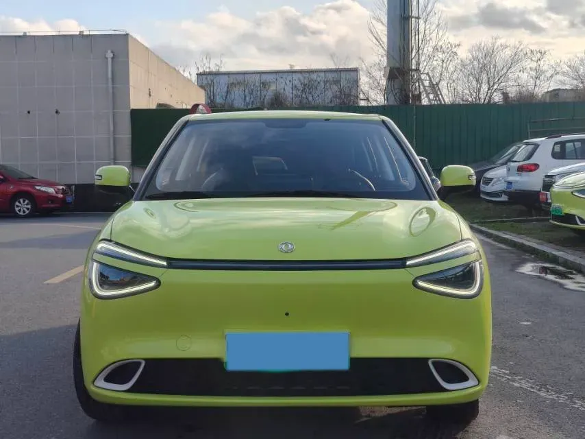 2024 DongFeng eπ 01 BEV 42.3KWH,autocango,china used car exporter,china ev exporter,chinese used car exporter,chinese used ev exporter