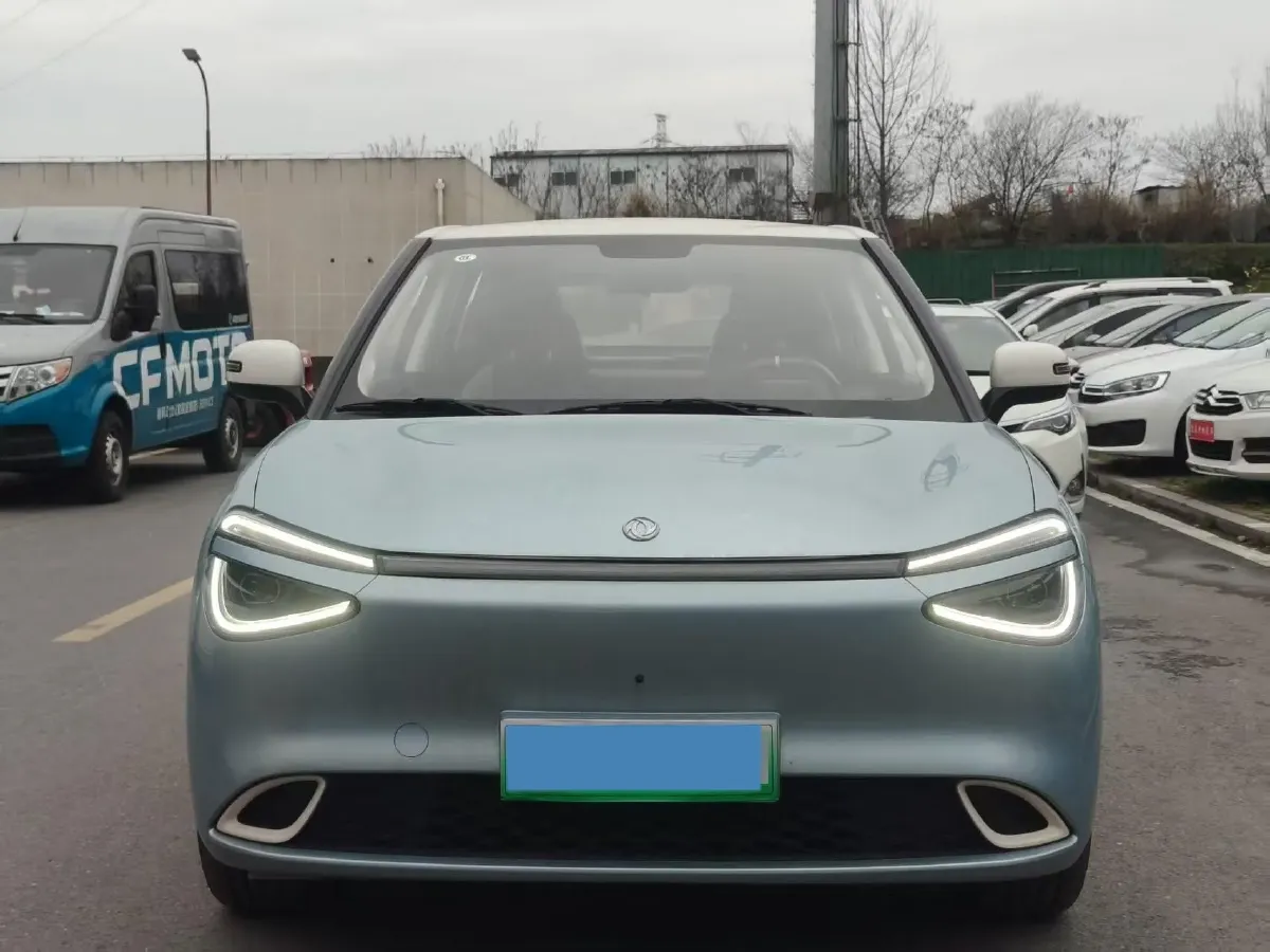 2024 DongFeng Nammi 01 BEV 42.3KWH,autocango,china used car exporter,china ev exporter,chinese used car exporter,chinese used ev exporter