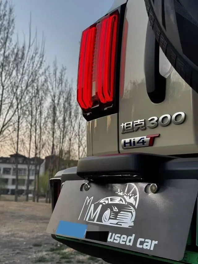 2025 Tank 300 2.0T 252HP L4 9AT PHEV,autocango,china used car exporter,china ev exporter,chinese used car exporter,chinese used ev exporter