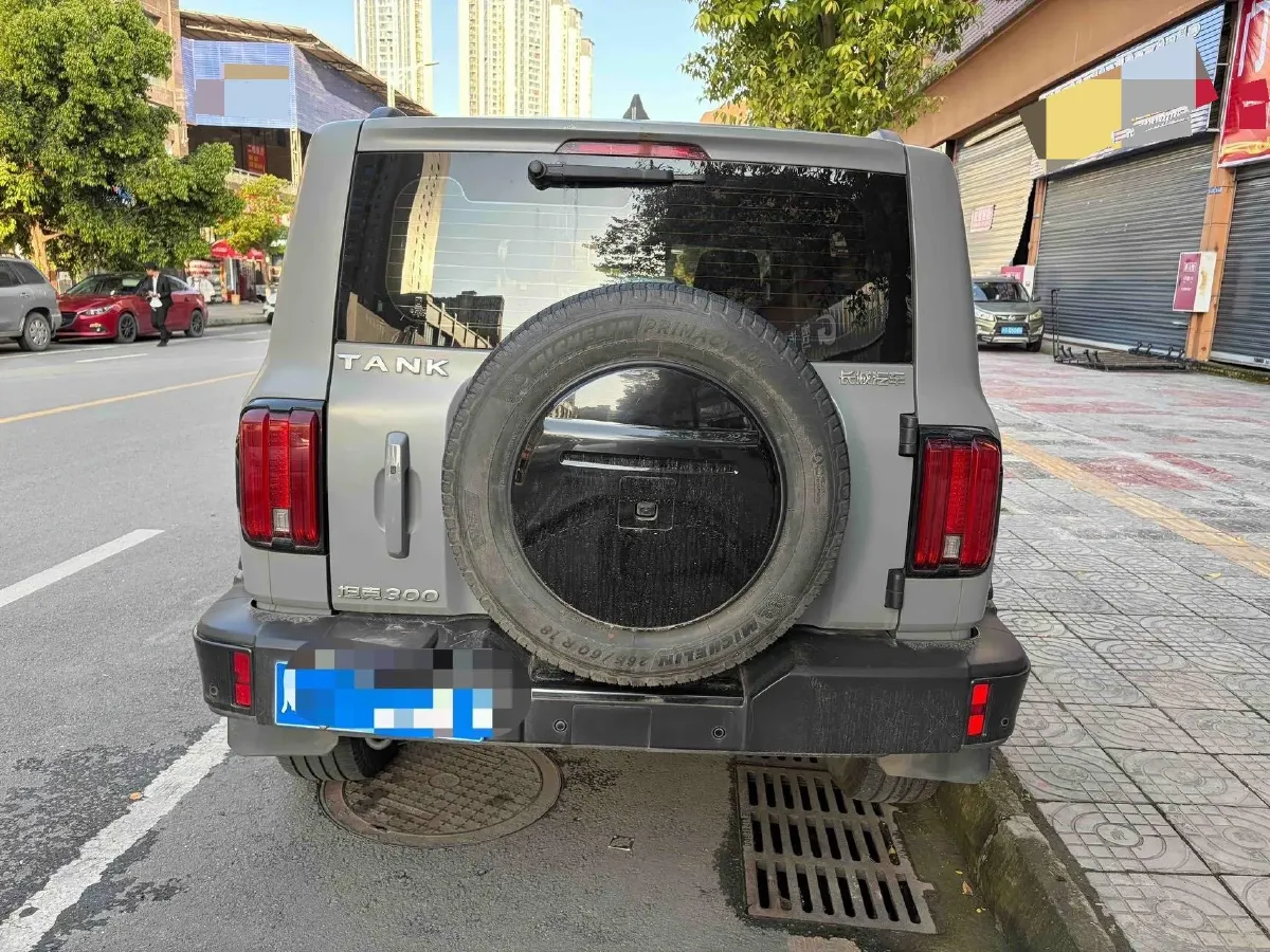 2021 Tank 300 2.0T 227HP L4 8AT,autocango,china used car exporter,china ev exporter,chinese used car exporter,chinese used ev exporter