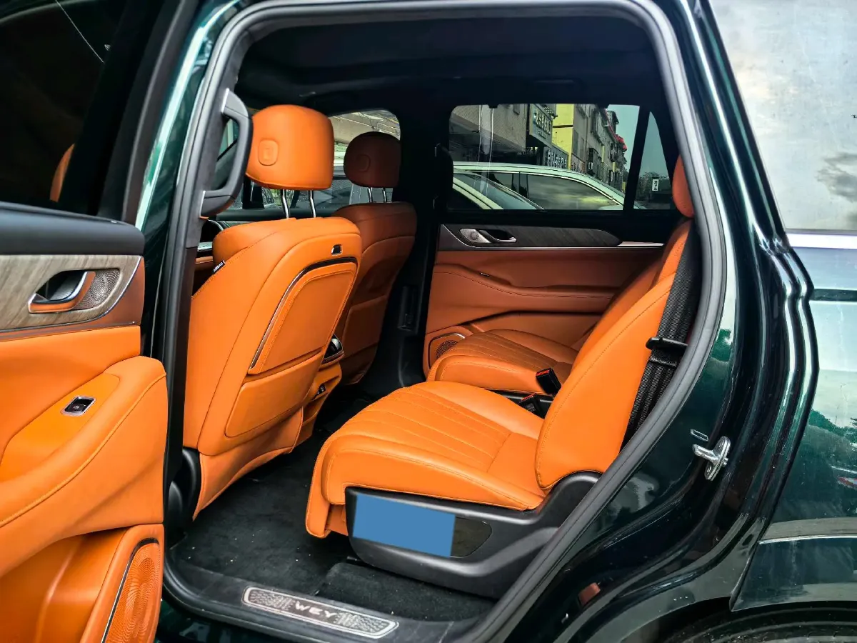 2023 WEY BlueMountain 1.5T 154HP L4 2DHT PHEV 44.5KWH,autocango,china used car exporter,china ev exporter,chinese used car exporter,chinese used ev exporter