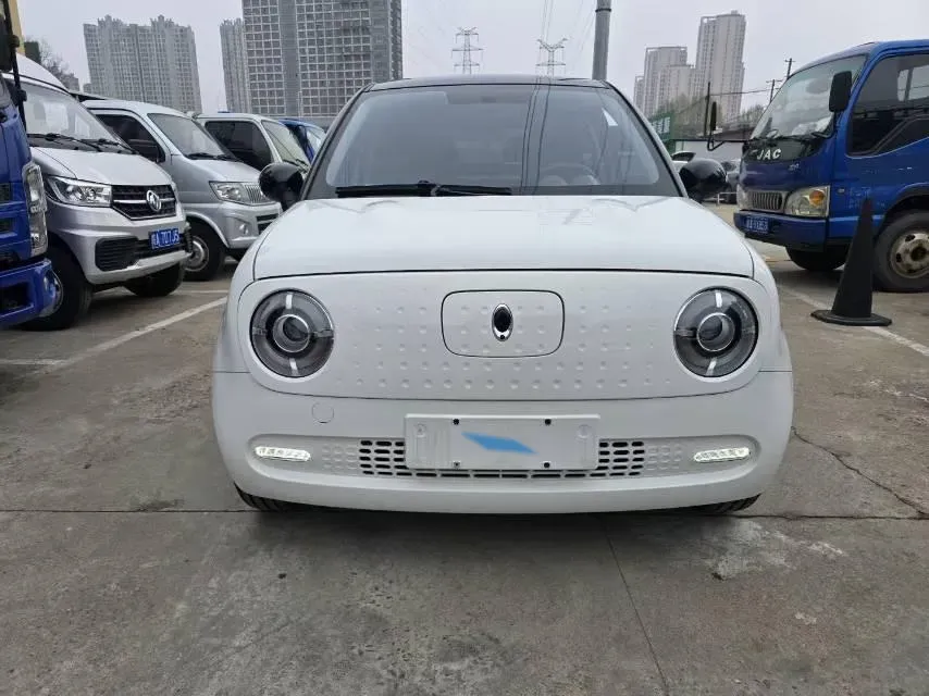 2022 Ora BlackCat BEV 33KWH,autocango,china used car exporter,china ev exporter,chinese used car exporter,chinese used ev exporter