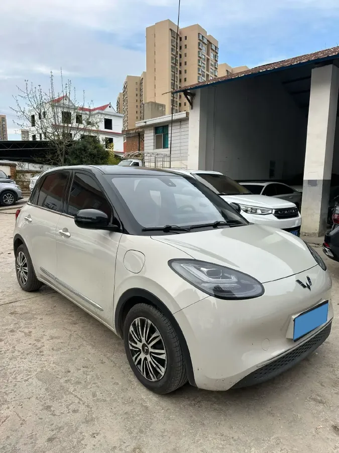 2023 WuLing BinGuo BEV 17.3KWH,autocango,china used car exporter,china ev exporter,chinese used car exporter,chinese used ev exporter