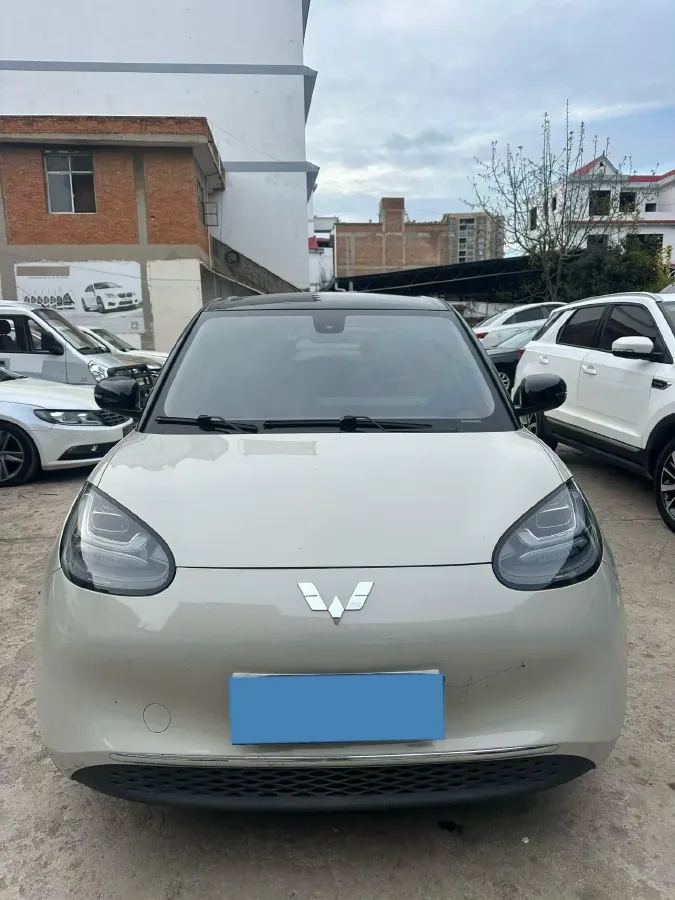 2023 WuLing BinGuo BEV 17.3KWH,autocango,china used car exporter,china ev exporter,chinese used car exporter,chinese used ev exporter