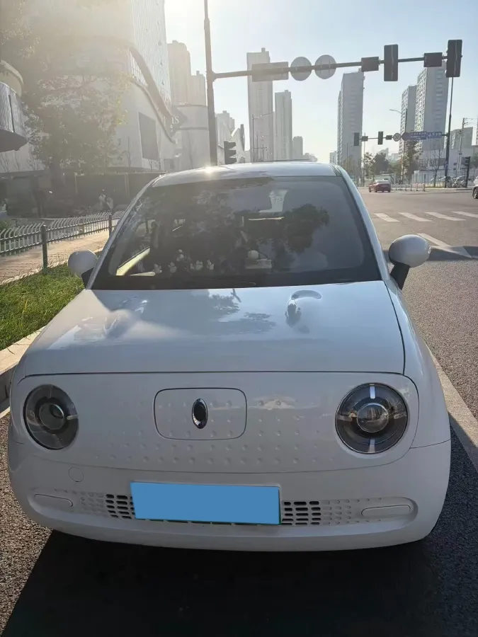 2021 Ora BlackCat BEV 28.5KWH,autocango,china used car exporter,china ev exporter,chinese used car exporter,chinese used ev exporter