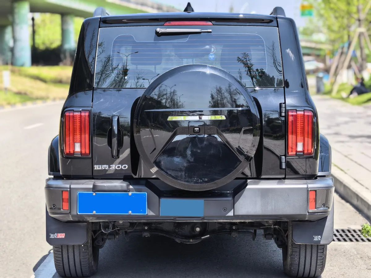 2023 Tank 300 2.0T 227HP L4 8AT,autocango,china used car exporter,china ev exporter,chinese used car exporter,chinese used ev exporter