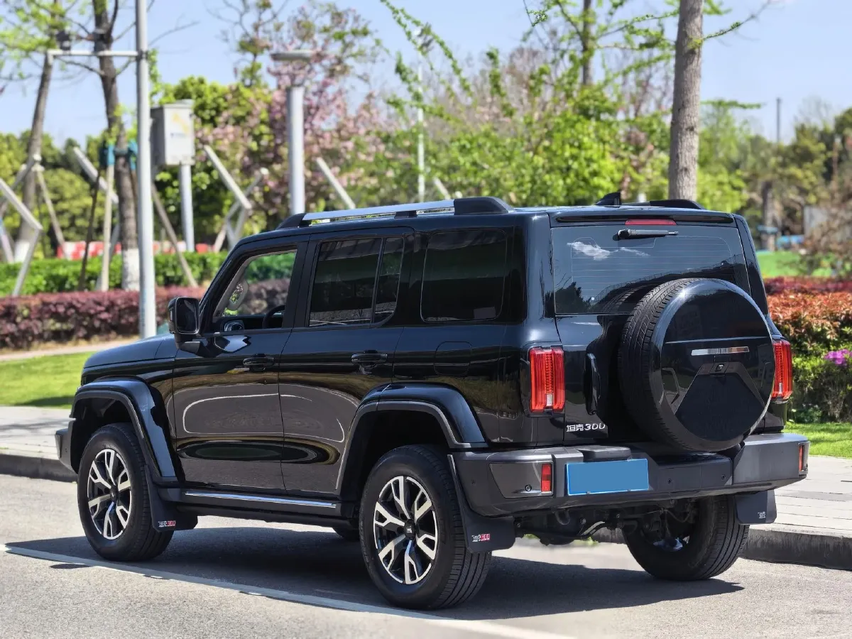 2023 Tank 300 2.0T 227HP L4 8AT,autocango,china used car exporter,china ev exporter,chinese used car exporter,chinese used ev exporter