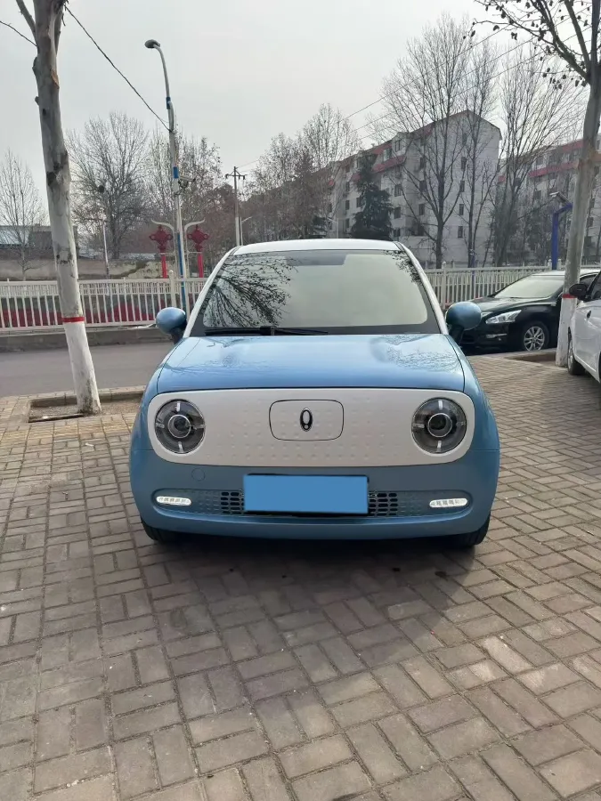 2021 Ora BlackCat BEV 28.5KWH,autocango,china used car exporter,china ev exporter,chinese used car exporter,chinese used ev exporter