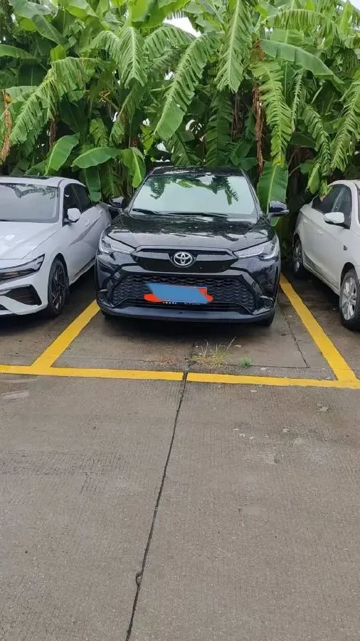 2023 Toyota Frontlander 2.0L 171HP L4 CVT,autocango,china used car exporter,china ev exporter,chinese used car exporter,chinese used ev exporter