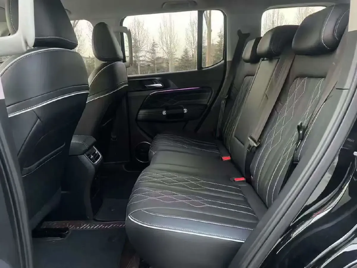 2024 Tank 300 2.0T 227HP L4 8AT,autocango,china used car exporter,china ev exporter,chinese used car exporter,chinese used ev exporter