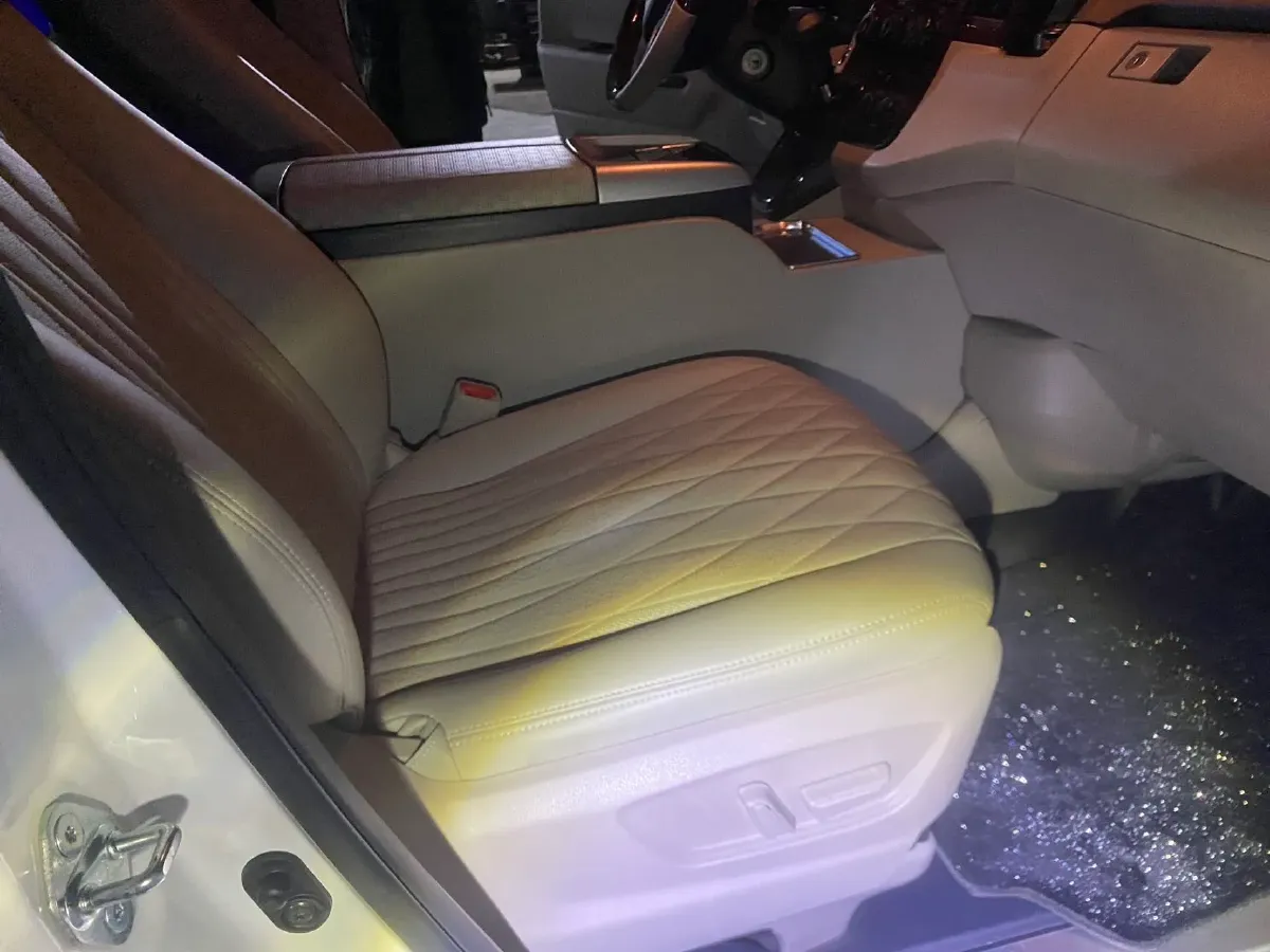 2019 Golden Dragon Sea Lion BEV 51.67KWH,autocango,china used car exporter,china ev exporter,chinese used car exporter,chinese used ev exporter