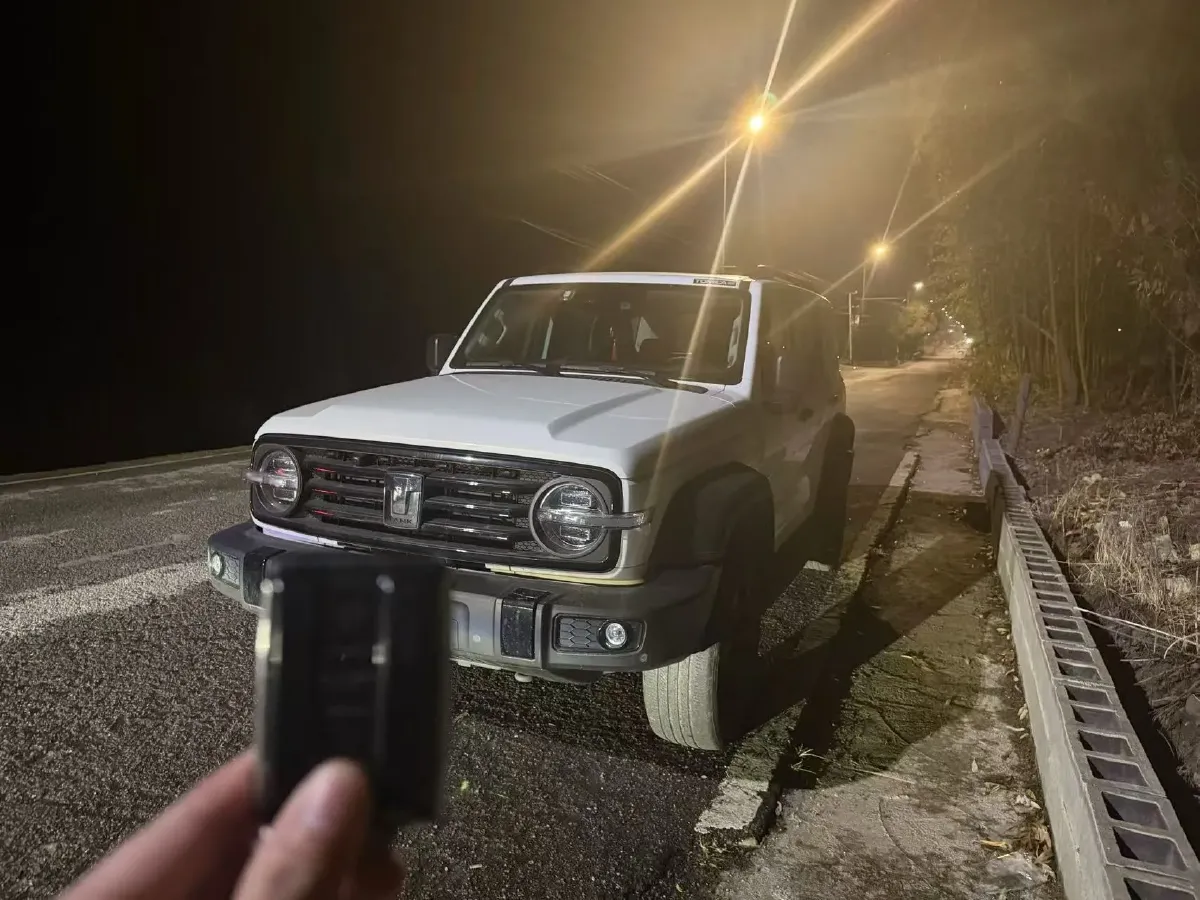 2021 Tank 300 2.0T 227HP L4 8AT,autocango,china used car exporter,china ev exporter,chinese used car exporter,chinese used ev exporter