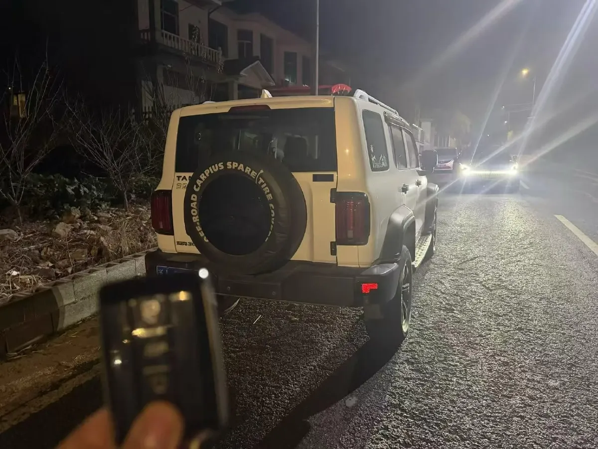 2021 Tank 300 2.0T 227HP L4 8AT,autocango,china used car exporter,china ev exporter,chinese used car exporter,chinese used ev exporter