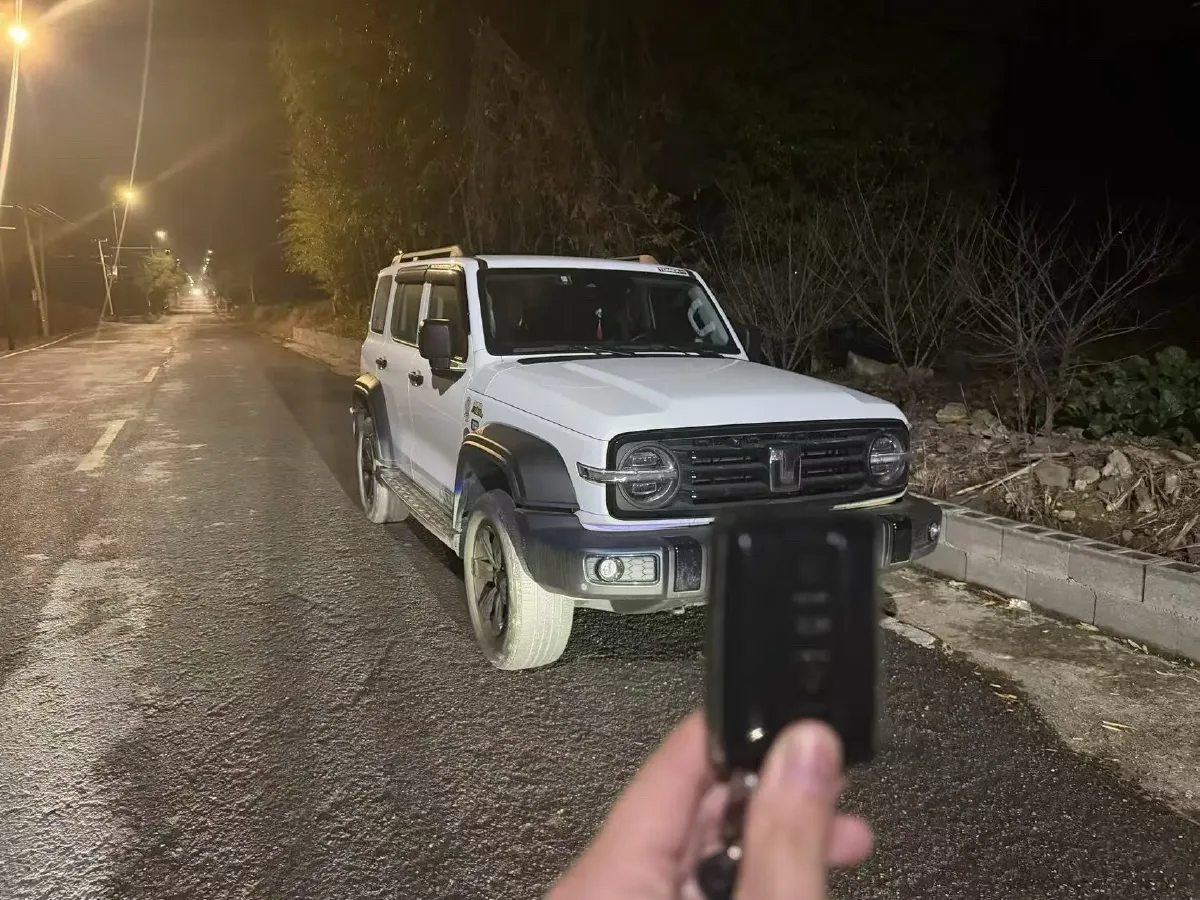 2021 Tank 300 2.0T 227HP L4 8AT,autocango,china used car exporter,china ev exporter,chinese used car exporter,chinese used ev exporter