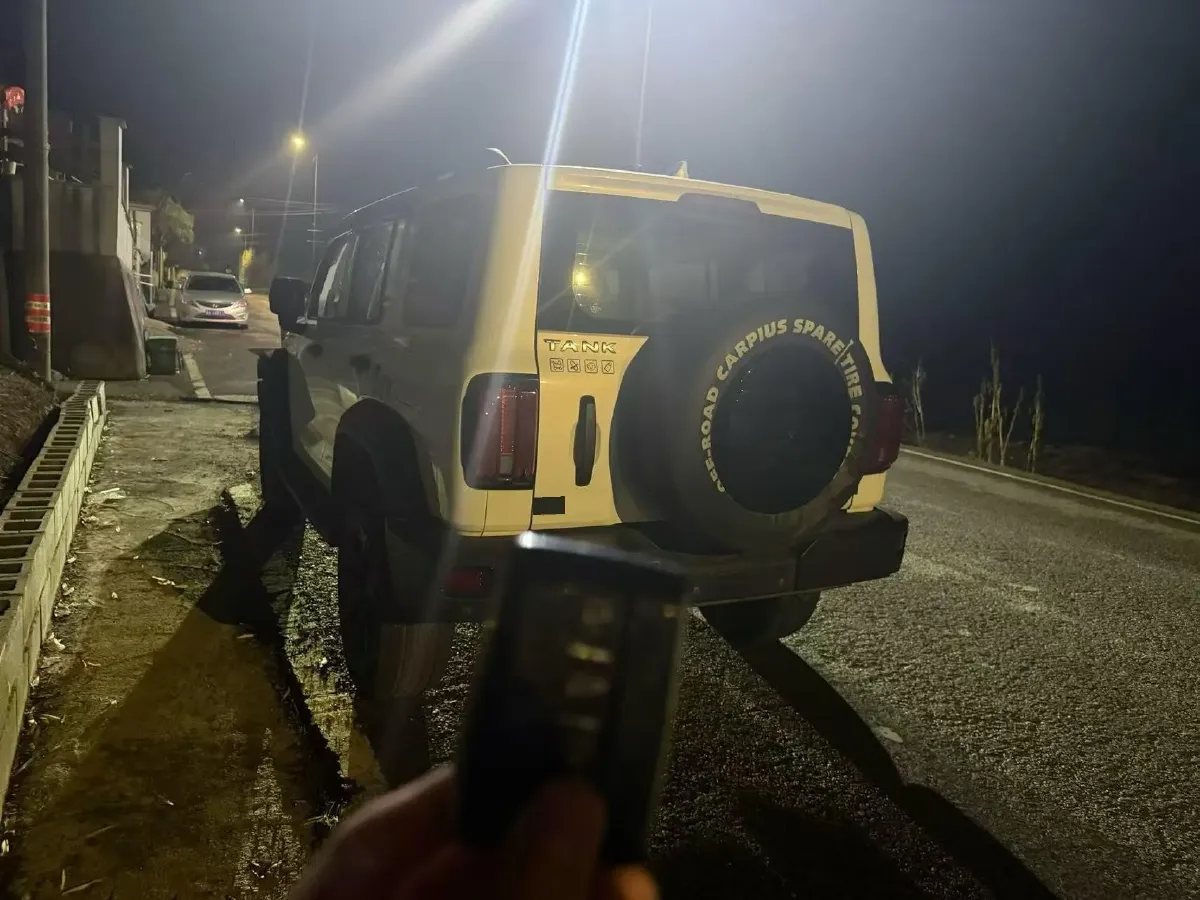 2021 Tank 300 2.0T 227HP L4 8AT,autocango,china used car exporter,china ev exporter,chinese used car exporter,chinese used ev exporter