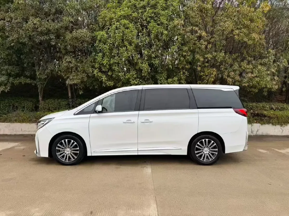 2021 GAC Trumpchi M8 2.0T 252HP L4 8AT,autocango,china used car exporter,china ev exporter,chinese used car exporter,chinese used ev exporter