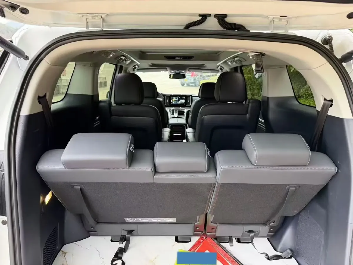 2021 GAC Trumpchi M8 2.0T 252HP L4 8AT,autocango,china used car exporter,china ev exporter,chinese used car exporter,chinese used ev exporter