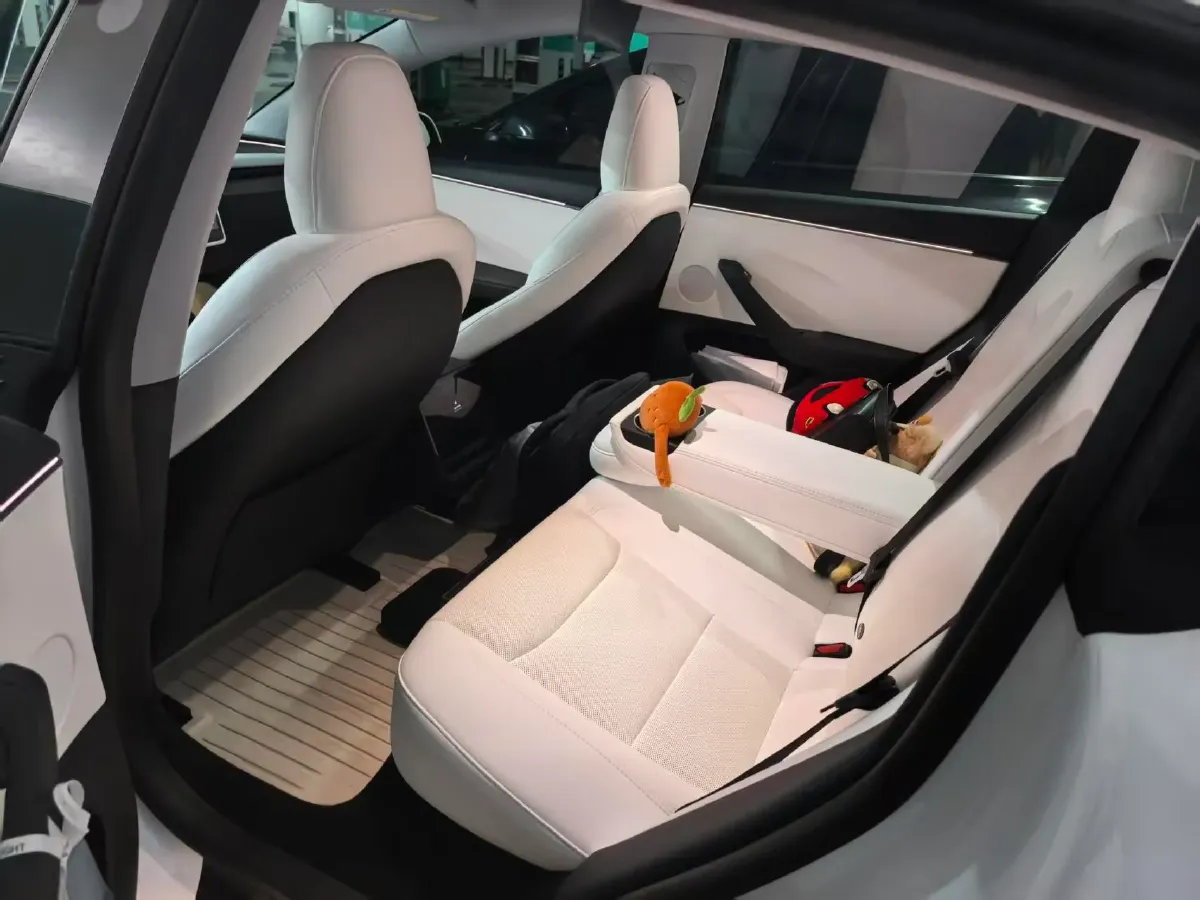 2025 Tesla Model 3 BEV 62.5KWH,autocango,china used car exporter,china ev exporter,chinese used car exporter,chinese used ev exporter